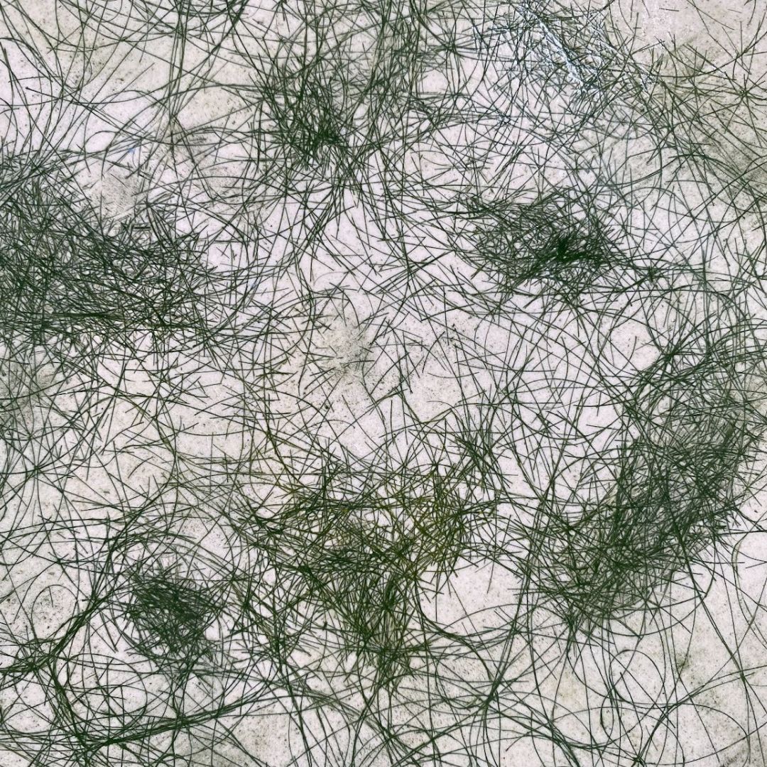 Printmaking Hair Art in Clay and Collagraphy